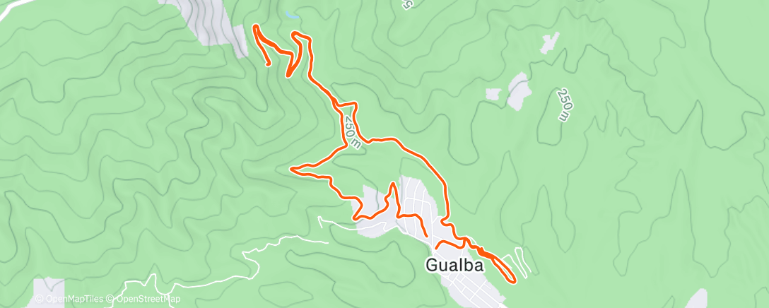 Карта физической активности (Afternoon Trail Run)