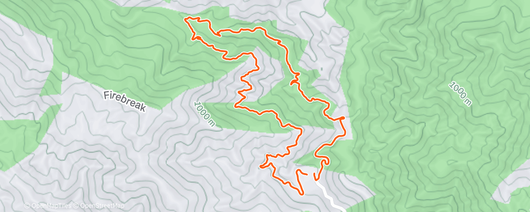 Map of the activity, Morning Trail Run