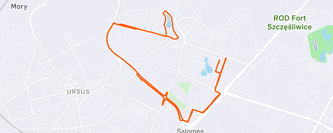 Map of the activity, Corsa serale