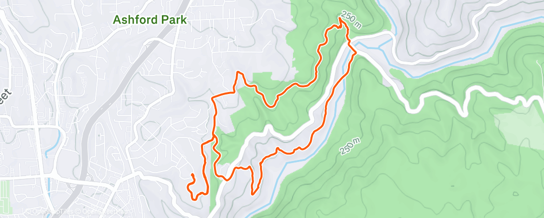 Map of the activity, Morning Run