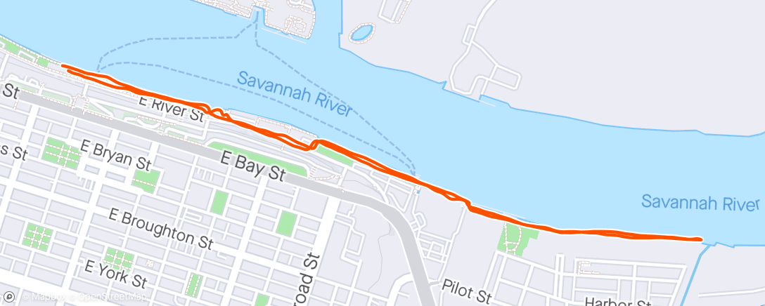Map of the activity, Shockjogger 2024 #7 - Savannah river run