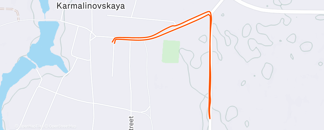 Карта физической активности (Дневной забег)