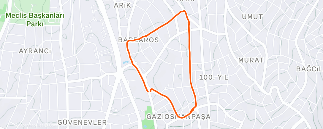 Карта физической активности (Morning Run)