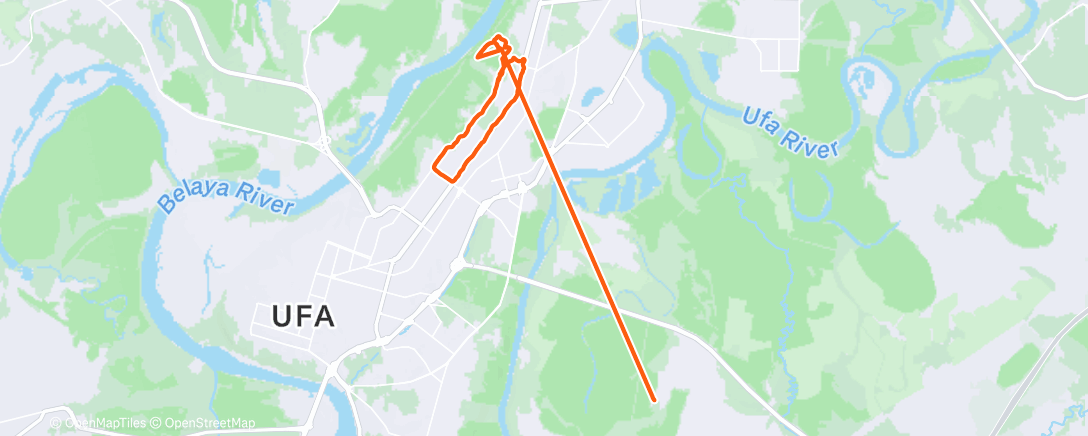 Карта физической активности (Дневной забег)