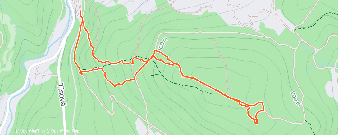 Карта физической активности (Morning Hike)