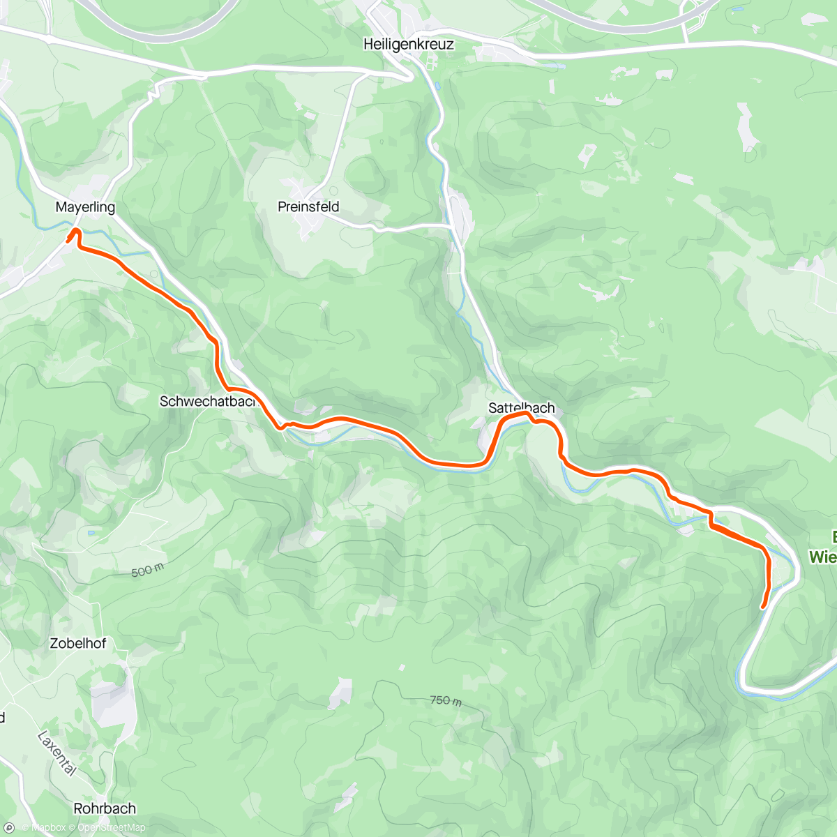 Map of the activity, Schulzheim