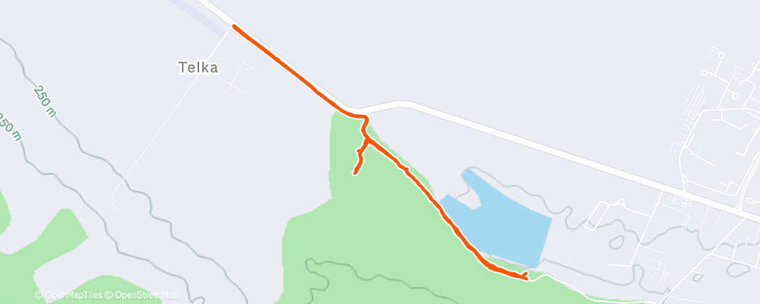 Map of the activity, Afternoon Walk