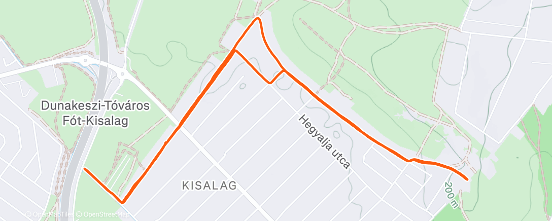 Карта физической активности (Debütáló)