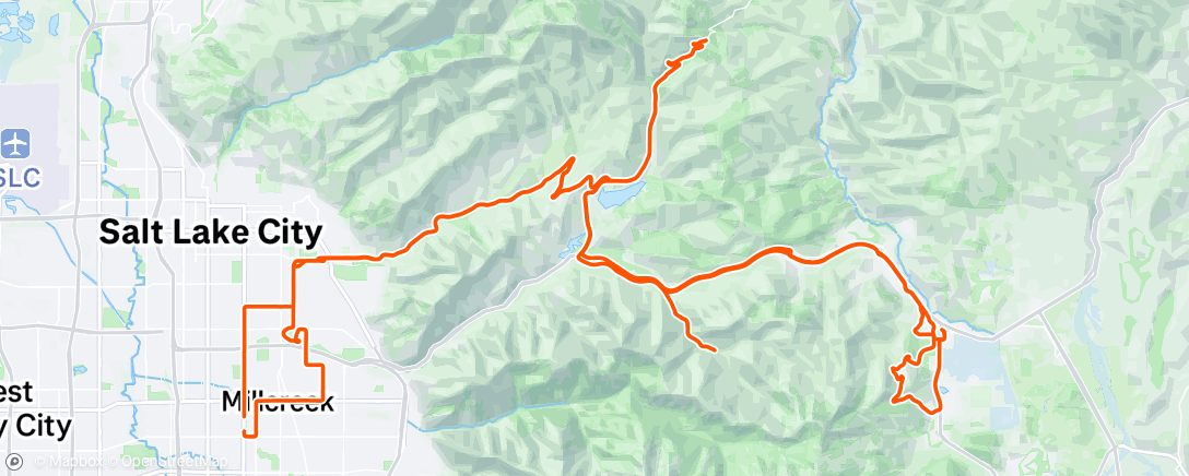 Map of the activity, Stimulus level 99