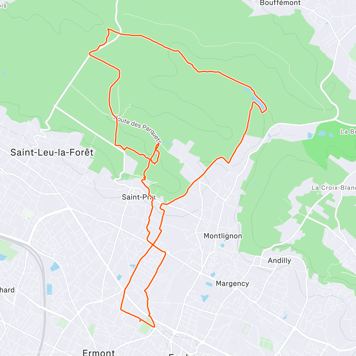 Карта физической активности (Balade en forêt avec les copains)