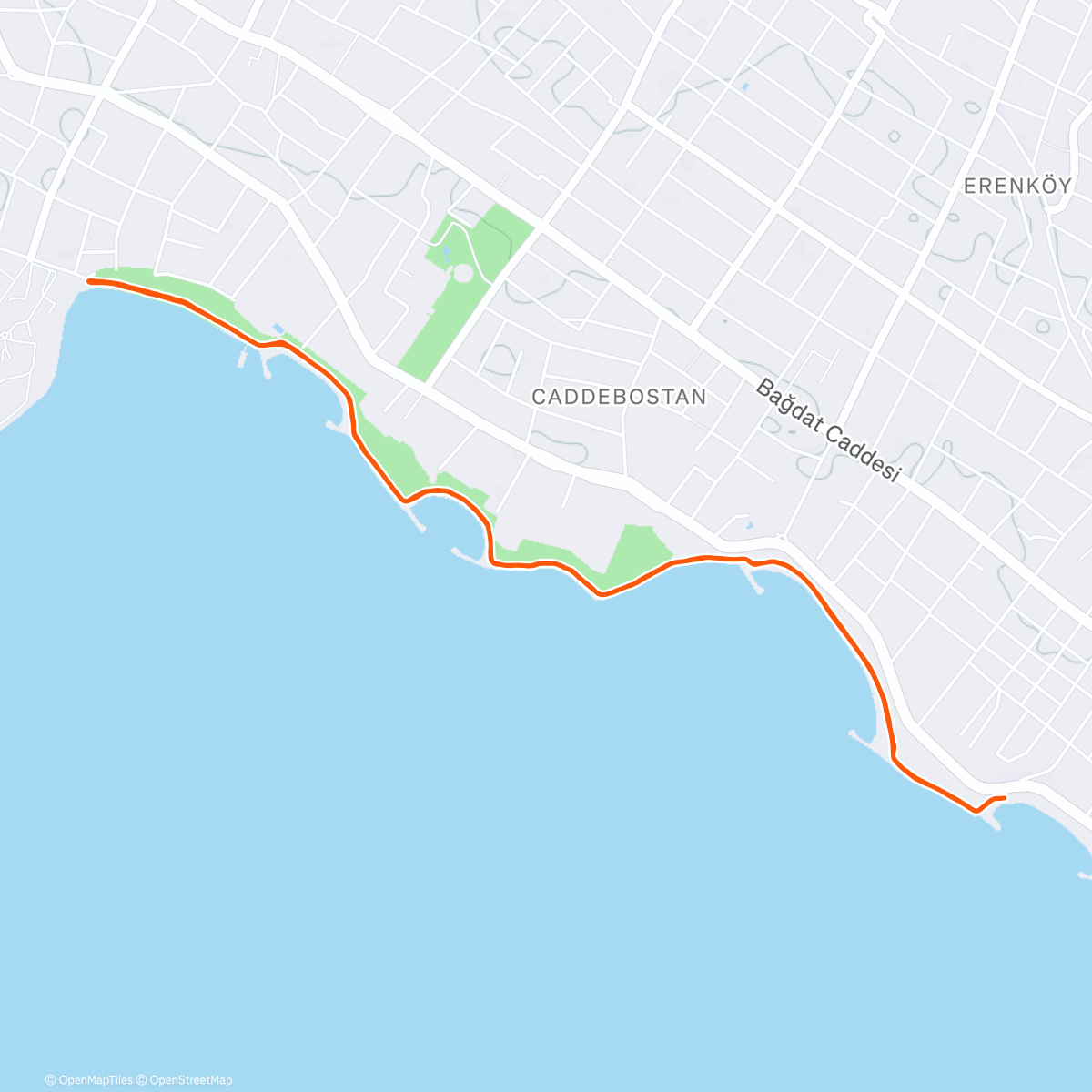 Карта физической активности (Afternoon Run)