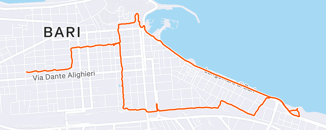 Карта физической активности (Afternoon Walk)