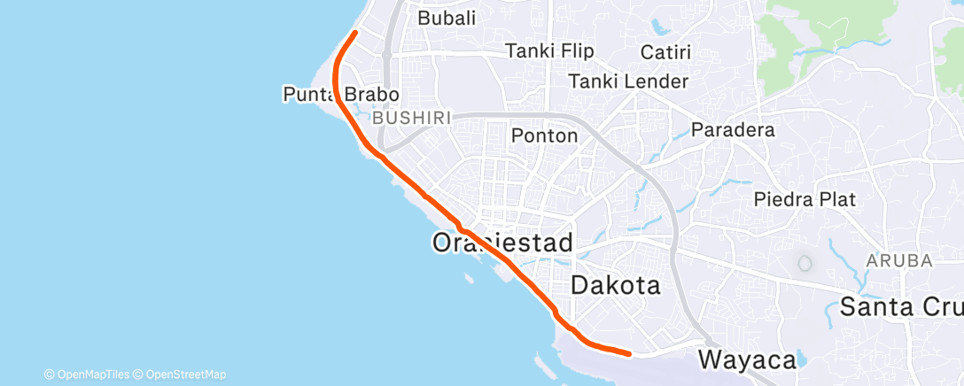 Карта физической активности (Morning Run)