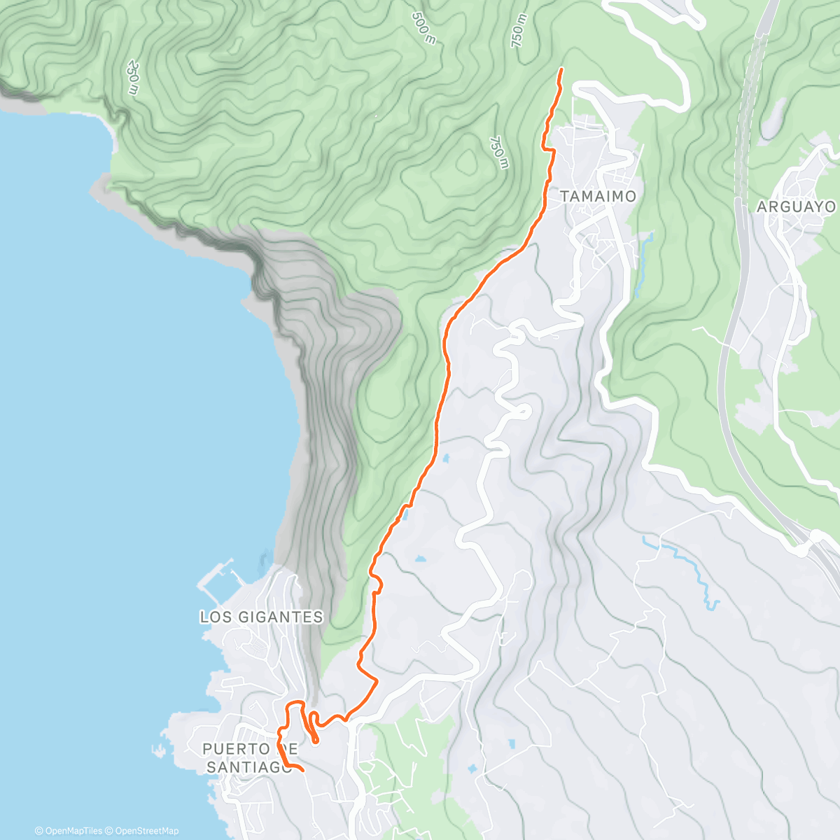 Map of the activity, "Hard" trail run