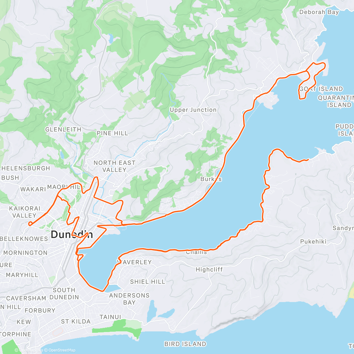 Mapa de la actividad (Oh the thrill of finding a coffee stop on a stat day 😼)