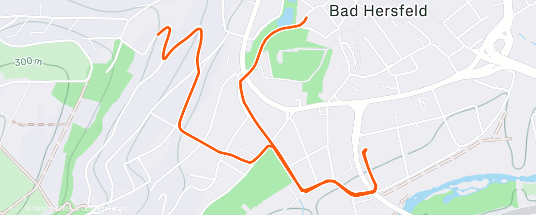 Карта физической активности (Fahrt am Nachmittag)