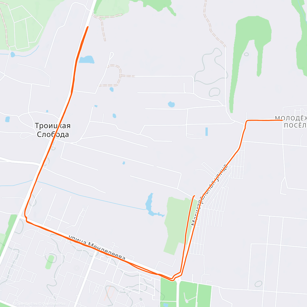 Карта физической активности (Morning Run)