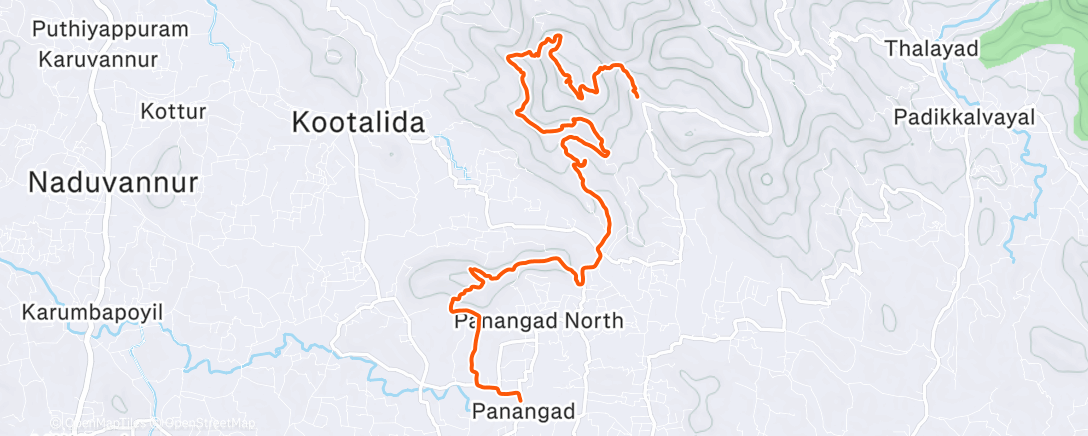 Карта физической активности (Vayalada Crew Run)