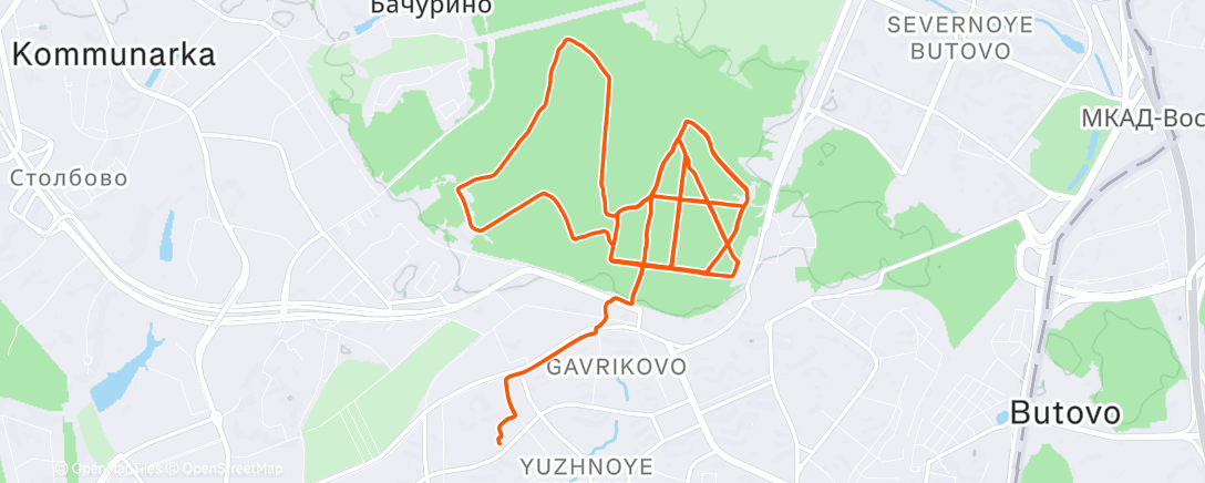 Mappa dell'attività Лесной вечерний