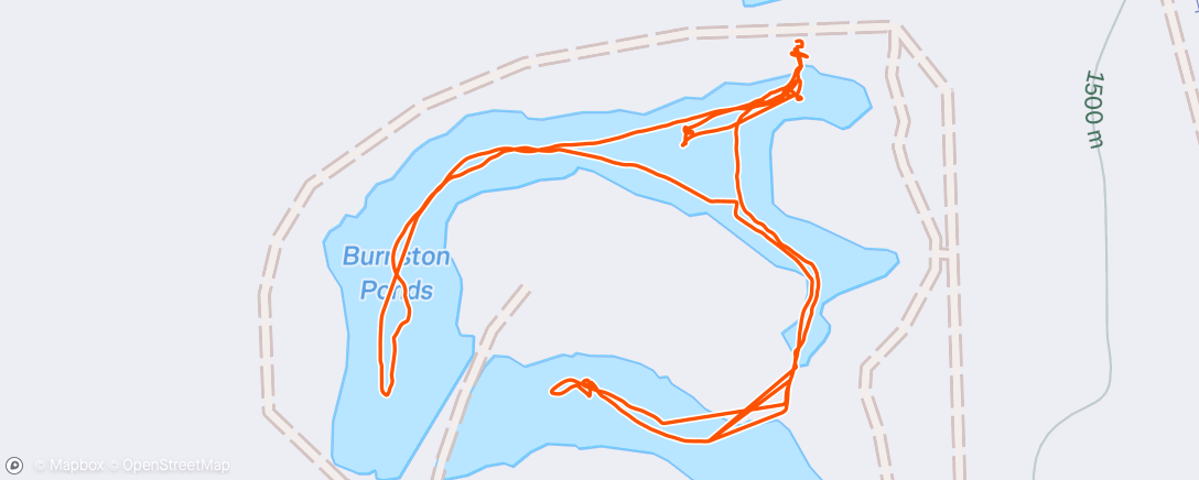 Map of the activity, Money Mona