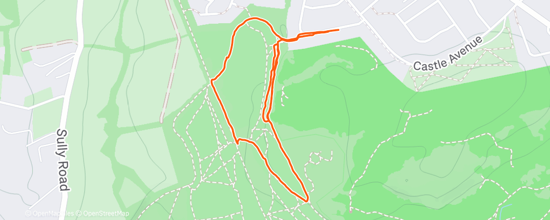 Карта физической активности (Morning Walk)