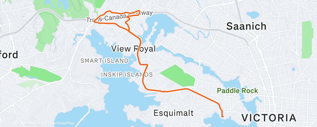 Карта физической активности (Morning Run)