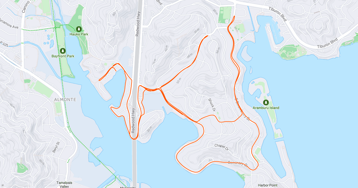 Morning Run | Strava