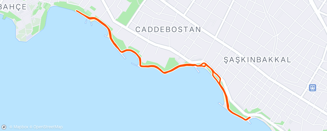 Map of the activity, Morning Run
