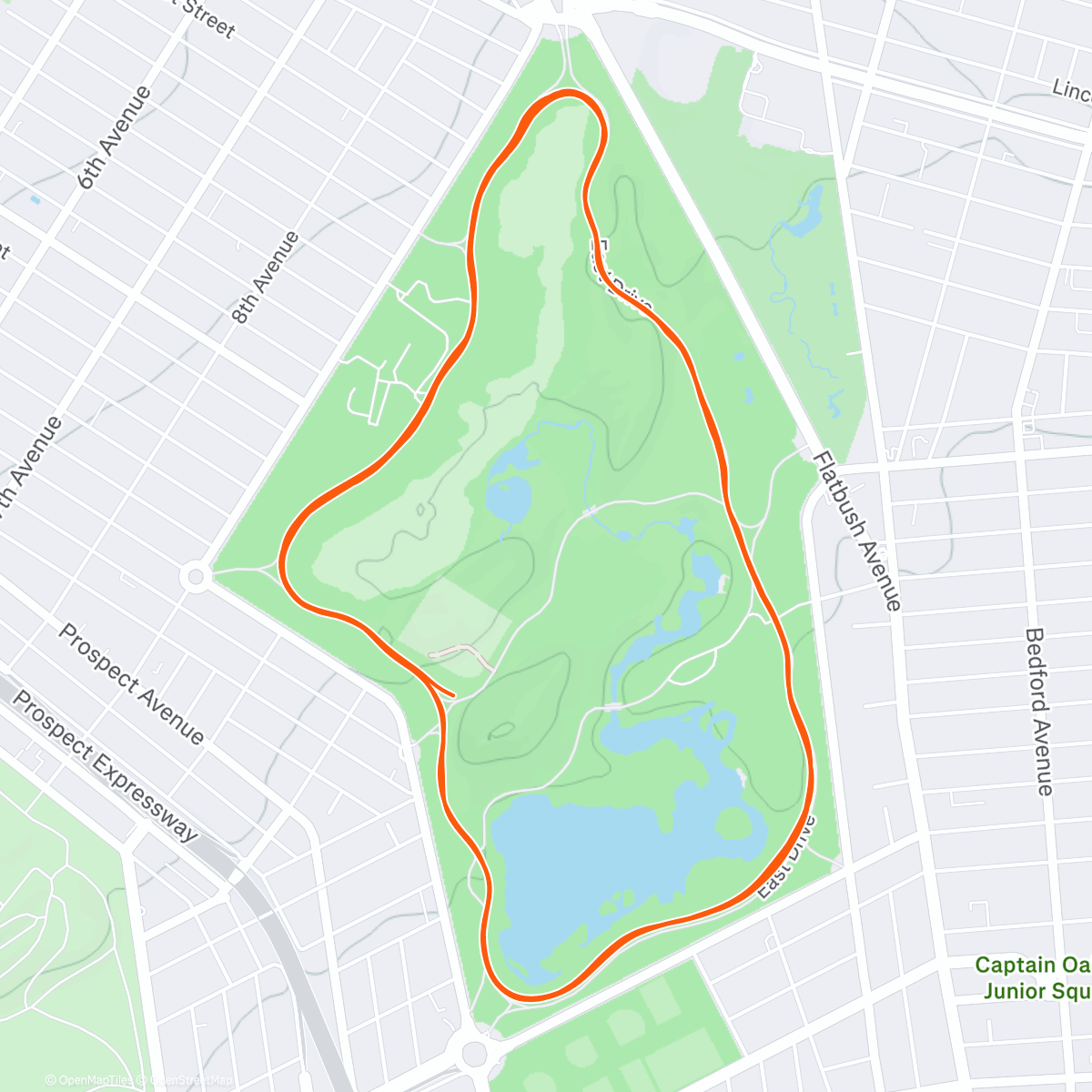 Map of the activity, Morning Run