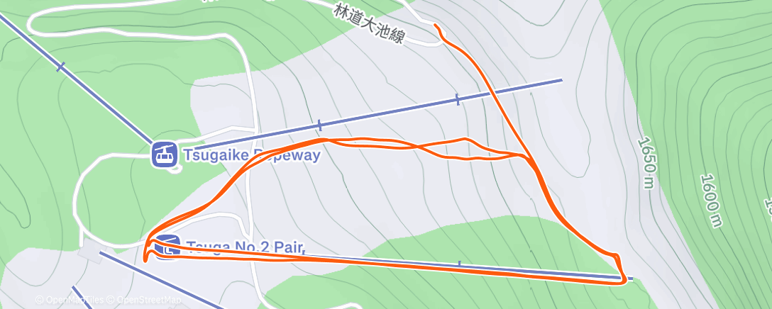 Mappa dell'attività Morning Alpine Ski