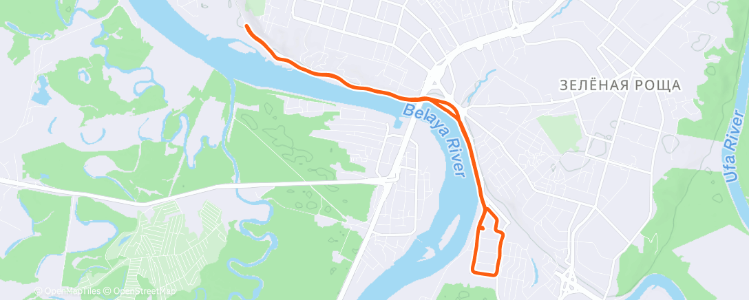 Карта физической активности (Дневной забег)