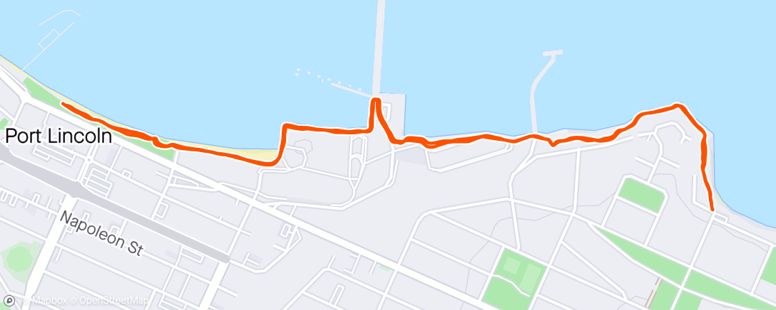 Mapa de la actividad, Morning Run