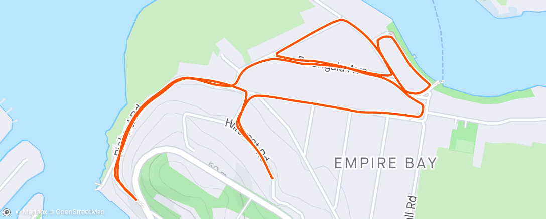 Map of the activity, First run with Chilli, she did pretty well