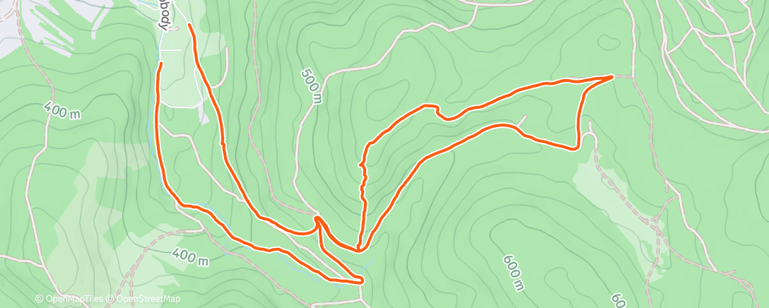 Map of the activity, Morning Run