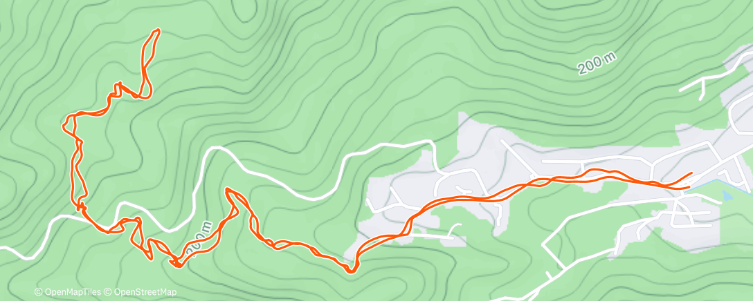 Map of the activity, Morning Trail Run