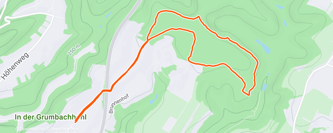 Map of the activity, Afternoon Run