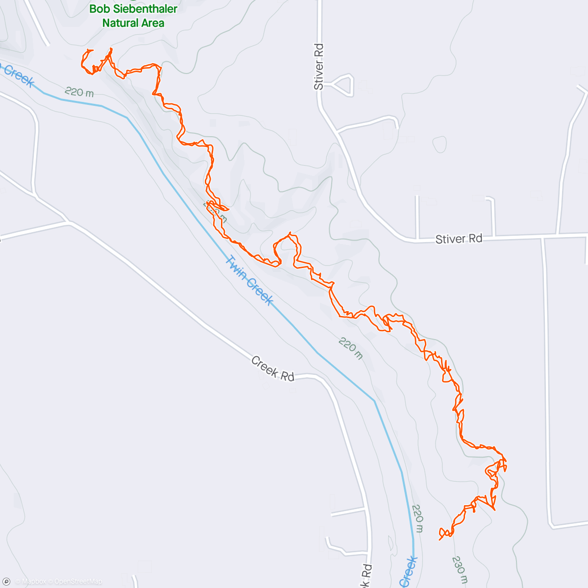 Map of the activity, Brooke’s introduction to the woods