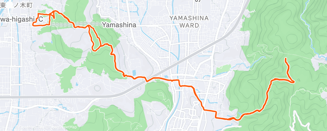 Map of the activity, Morning Trail Run