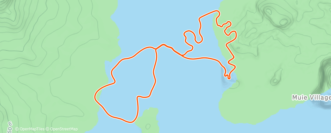 Map of the activity, Zwift - Jarvis Seaside Sprint in Watopia
