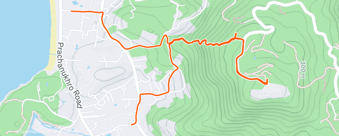 Карта физической активности (Afternoon Hike)