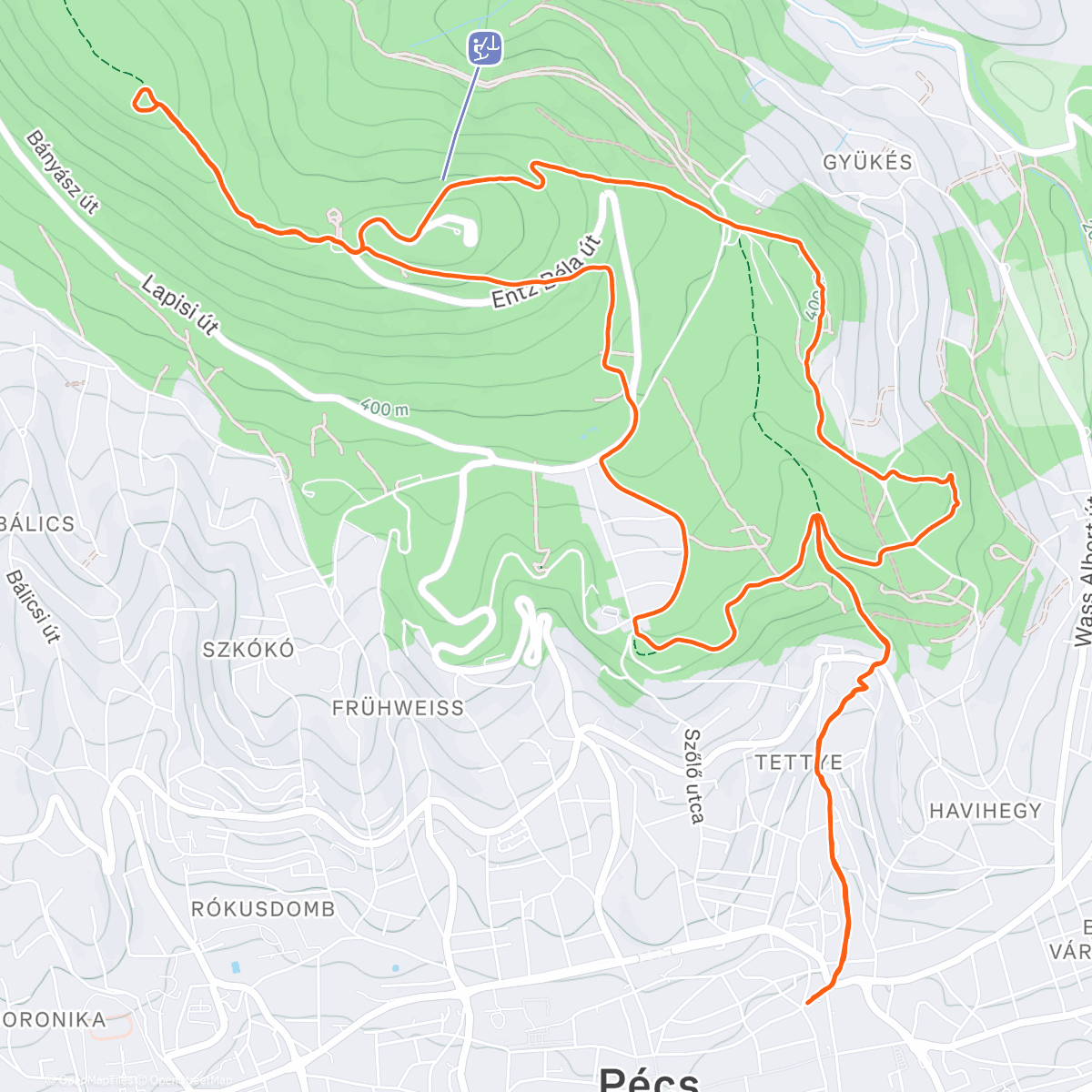 Карта физической активности (Morning Trail Run)