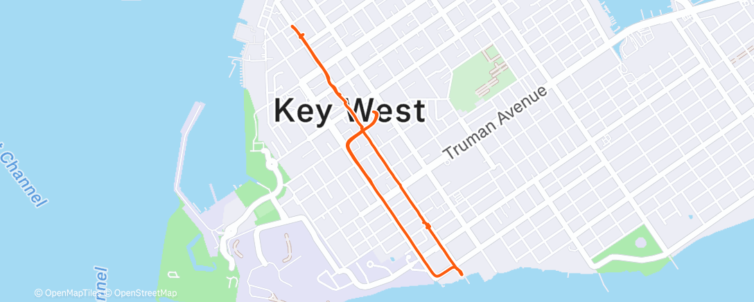 Карта физической активности (Afternoon Walk)