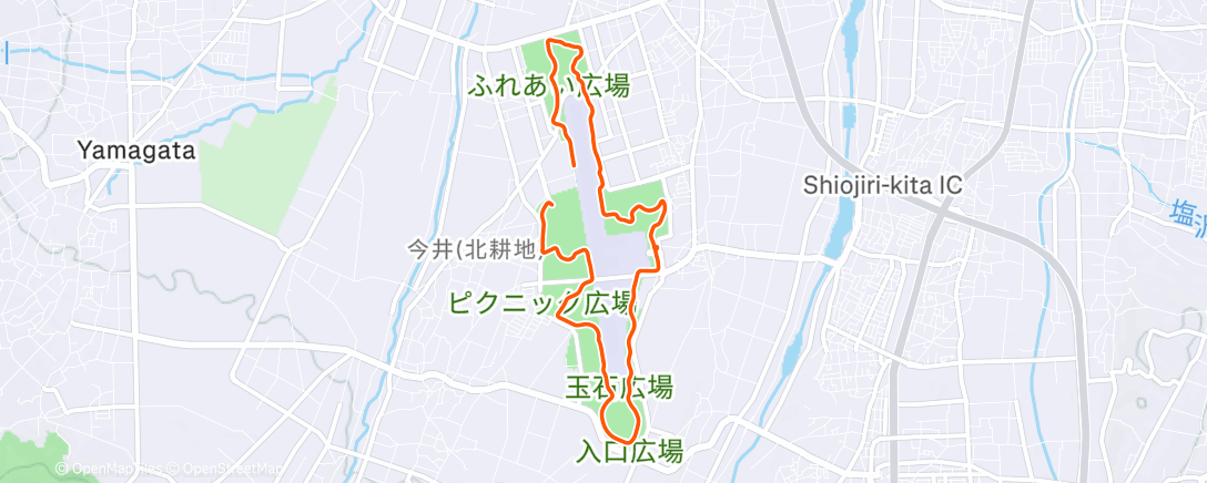 Map of the activity, Afternoon Run