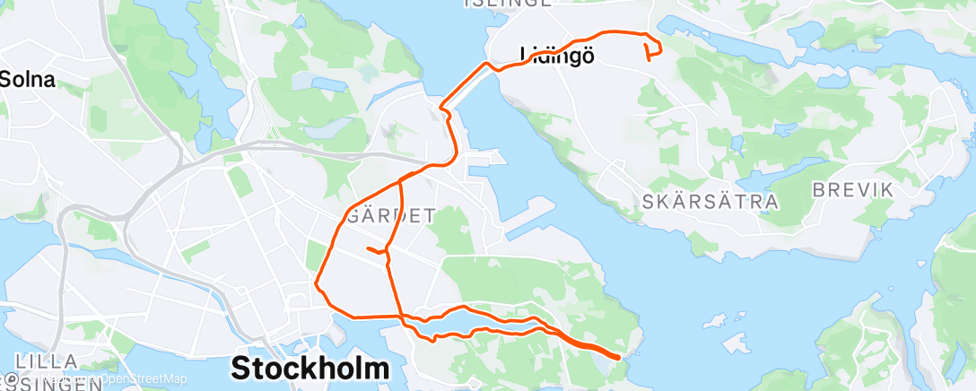 Карта физической активности (Morning Run)