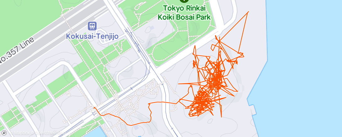 Map of the activity, 午後のウォーキング