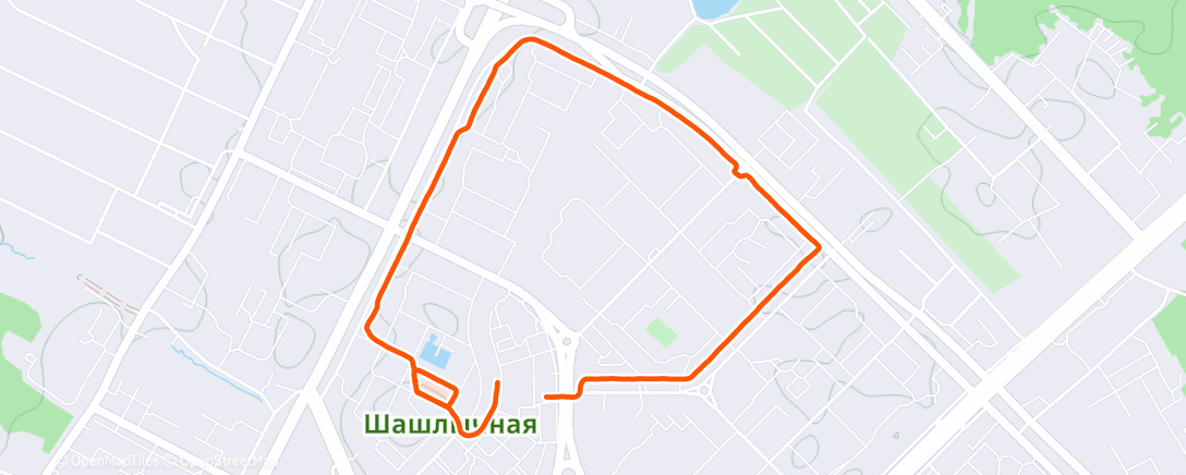 Карта физической активности (Дневной забег)