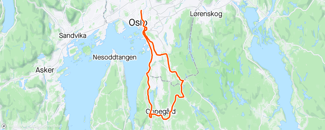 Map of the activity, Årets første