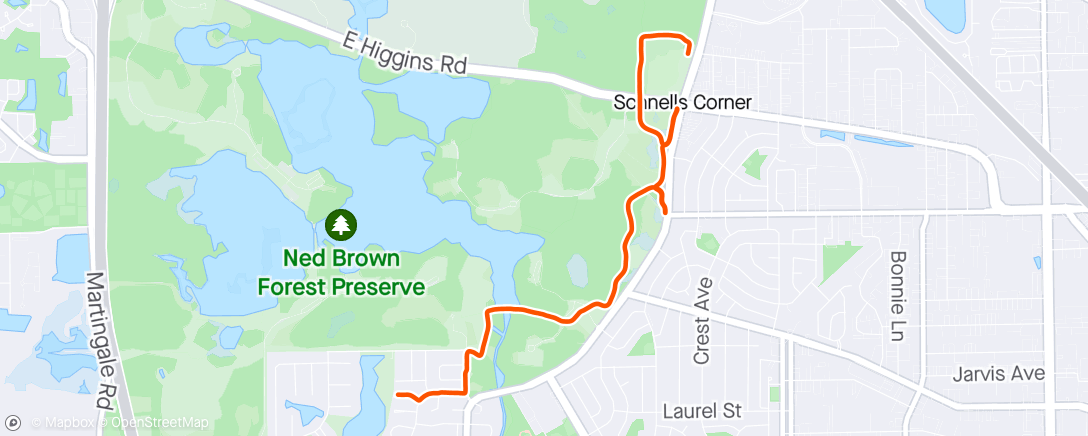Map of the activity, Cool down run/walk - 3.1 miles