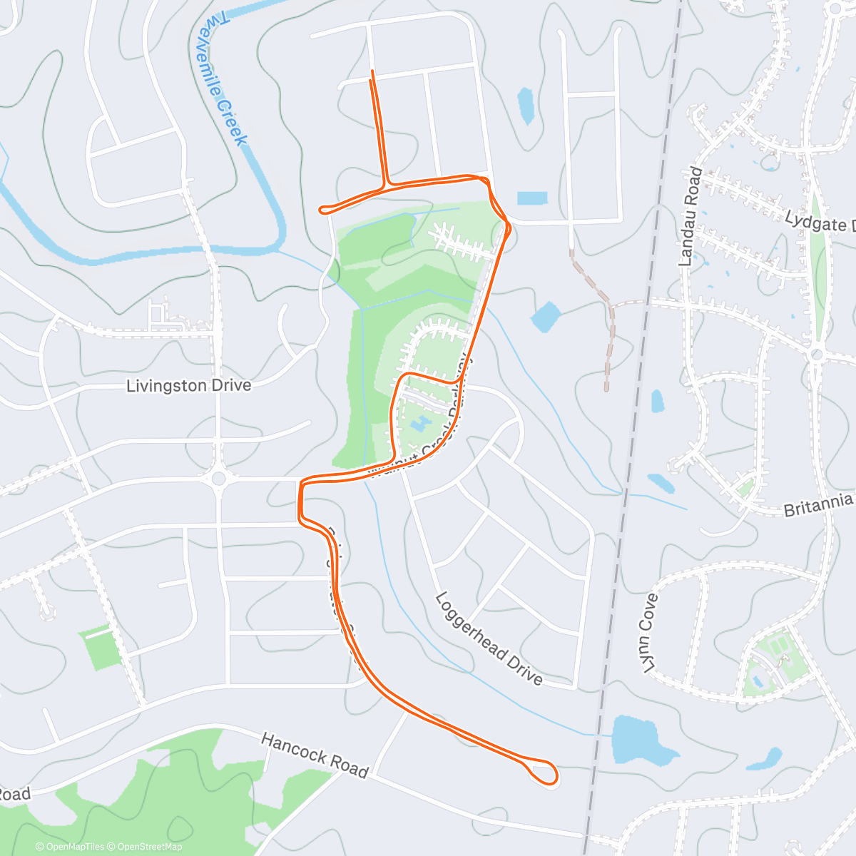 Карта физической активности (Morning Run)