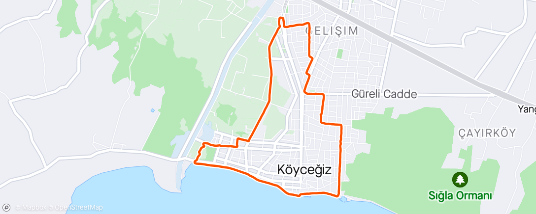 Map of the activity, Köyceğiz Özge
